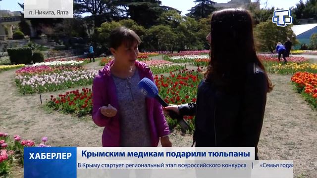 Крымским медикам подарили тюльпаны смотреть онлайн