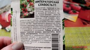 МОЙ ТОМАТ - ФАВОРИТ 2021года. ТОМАТ ИМПЕРАТОРСКАЯ СЛАБОСТЬ F1.