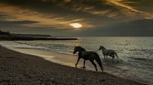 Слушайте эту Прекрасную Музыку и Вам Станет Лучше!!! Успокаивает, Облегчает душевное состояние!