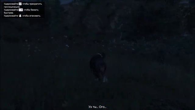 лафофоры часть2