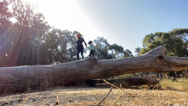 Coyote Point 14.07.2020 смотреть онлайн