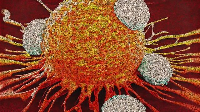 Аутофагия: Чудо ИЛИ ...