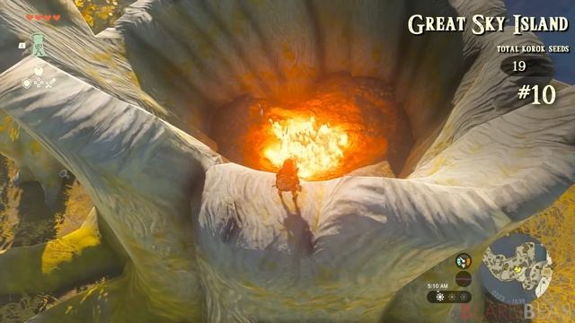 Zelda: Tears of the Kingdom - All Korok Seeds (Great Sky Island) Locations #001 - #019 смотреть онлайн