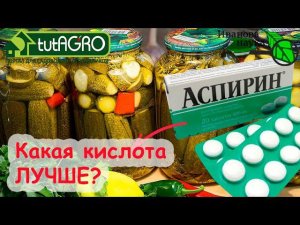 Что происходит, когда в маринад кладут АСПИРИН? 5 КИСЛОТ для консервирования овощей. Какая лучше?