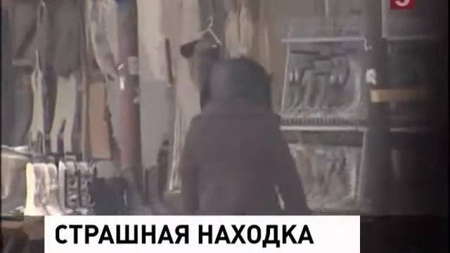 Красноярск. Унты из собак смотреть онлайн