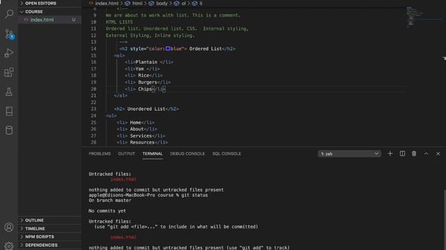Your first GIT Commands смотреть онлайн