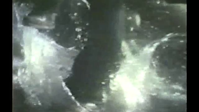 Bruce Lee, Chuck Norris + Bob Wall смотреть онлайн