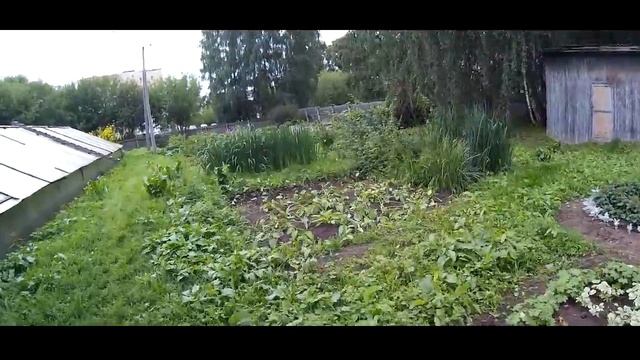 ВСЯ ПРАВДА о Станции Юннатов Кострома смотреть онлайн