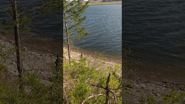 Снежный человек смотреть онлайн