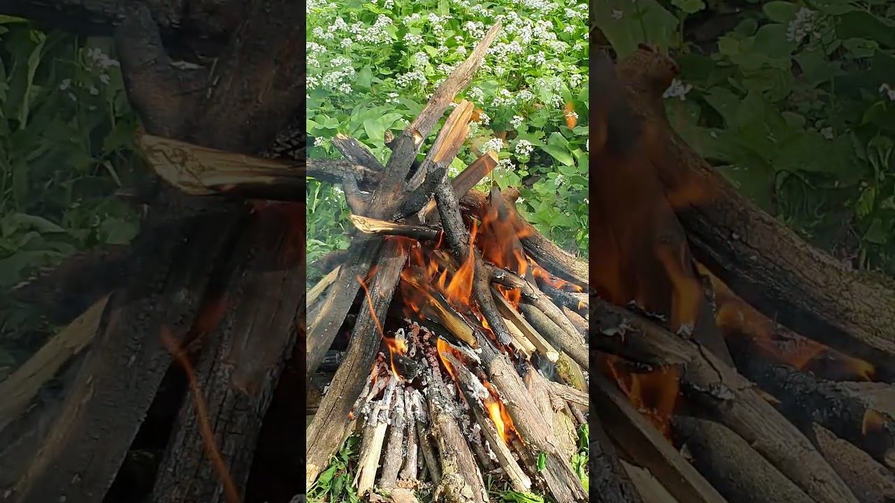 Pleasant Spring Relax by the Campfire смотреть онлайн