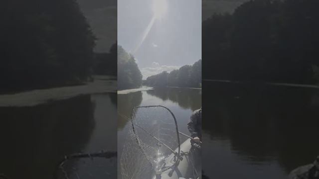 Рыбалка, троллинг смотреть онлайн