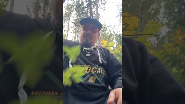 #free #squirrel call diy no money needed warning graphic view of dead squirrel смотреть онлайн