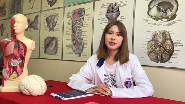 KASIP specialty. Сестринское дело смотреть онлайн