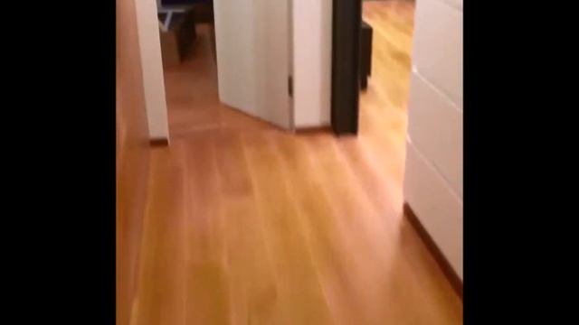 Мытищи ЖК Ньютон презентационный смотреть онлайн