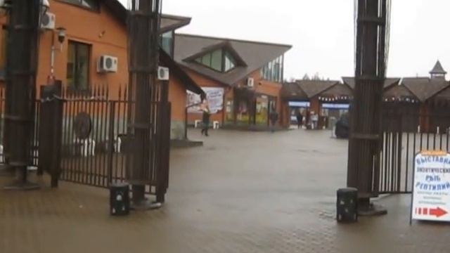 Часы президента смотреть онлайн
