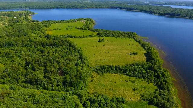 Панорама озера Ужо в Псковской области (участок 51 Га) - канал Лучшие Земли смотреть онлайн