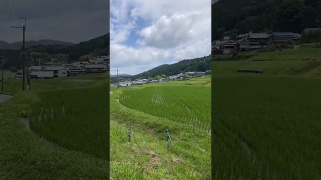 Japanese Urban Legend (Kune Kune)