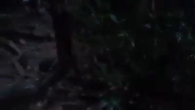 Водопад Кату, Кату, Kathu District, Пхукет, Таиланд сентябрь 2019 смотреть онлайн