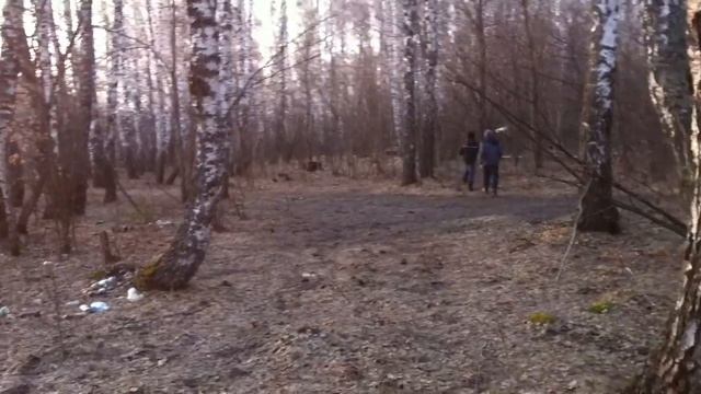 Тульская область. Обучение молодняка. смотреть онлайн