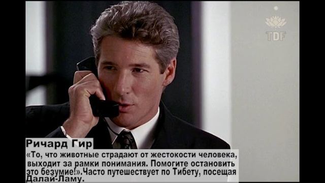 Знаменитости вегетарианцы