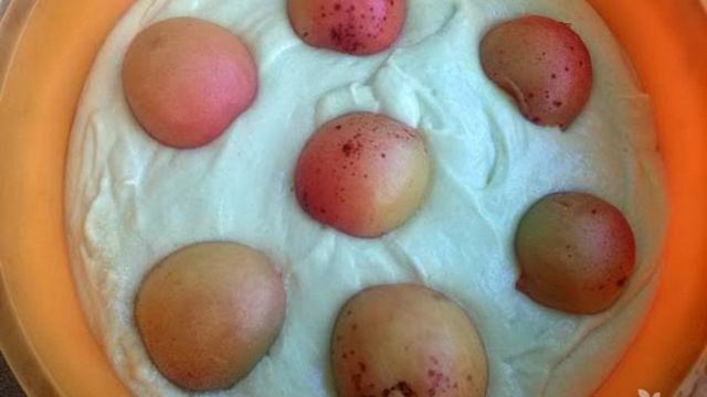 Сборник рецептов