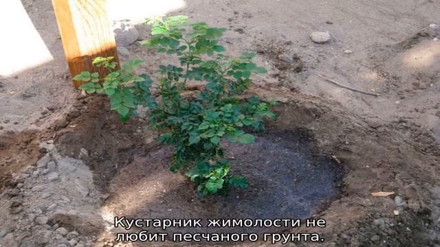 Мода и Стиль