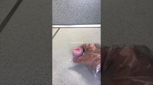 Двуцветный цветок из шоколада. Как сделать два цвета в цветочке, шоколадные розы, тюльпаны, букеты