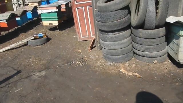 Кукурузная мука для пчел весной смотреть онлайн