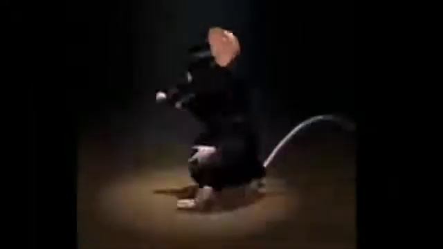 ЧЕРНАЯ Крыса🐀 Танцует Под Классную Песню😱 смотреть онлайн