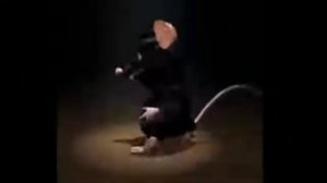 ЧЕРНАЯ Крыса🐀 Танцует Под Классную Песню😱