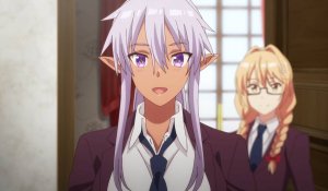 Герой-рационал перестраивает королевство, 5 серия