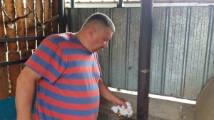 КОСУЛЯ В КАЗАНЕ с картошкой I Как правильно готовить косулятину