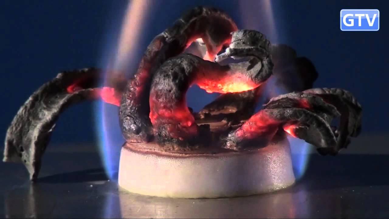 ФАРАОНОВА ЗМЕЯ из глюконата кальция - опыты