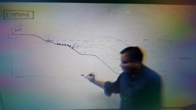 Ecotone & its characteristics смотреть онлайн