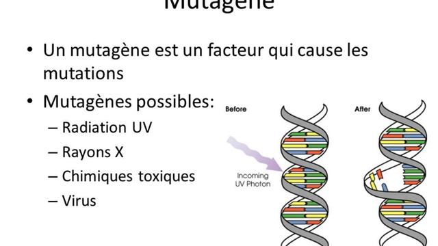 Génétique ? : Les mutations смотреть онлайн