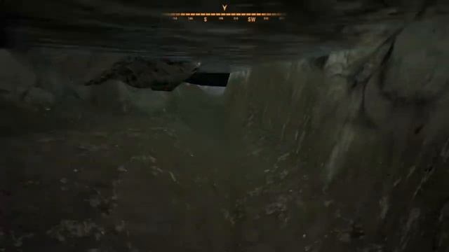 Bug treasure Hunter Simulator смотреть онлайн