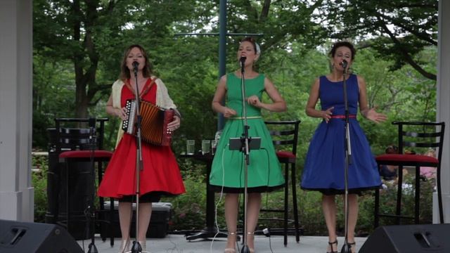 Mon mec à moi Patricia Kass cover by Le Trio Java HD 720p смотреть онлайн