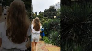 Центральный Сочи. Гостиница Магнолия. Очень близко от набережной Сочи #сочи #магнолия #море