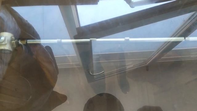 Научные Эксперименты