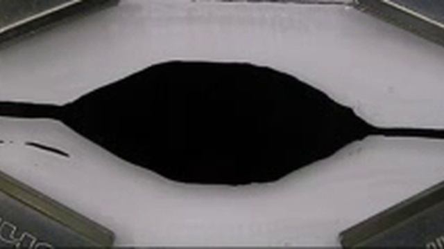 Artificial zebrafish chromatophore смотреть онлайн