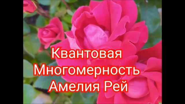 медитация Свет, Любовь? aac смотреть онлайн