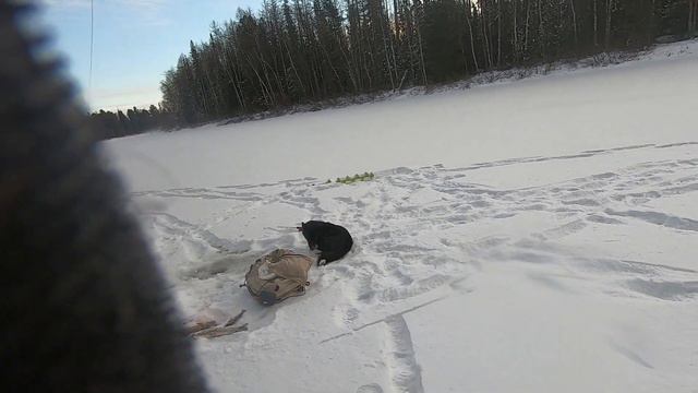 Я их нашел. Блесна уделала балансира и спасла рыбалку. смотреть онлайн