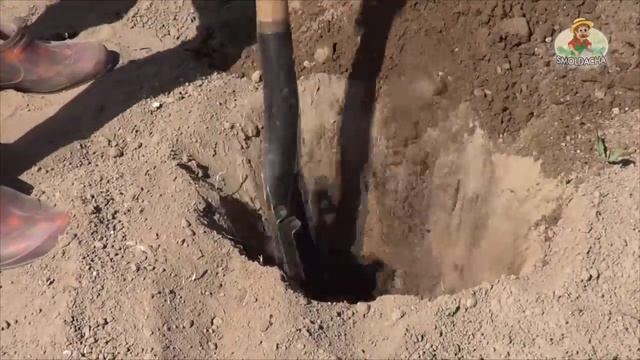 Как посадить георгины / Правильная посадка георгин смотреть онлайн