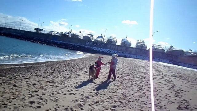 Прогулка с собакой под шум прибоя и крики чаек, Одесса февраль 2020 года смотреть онлайн