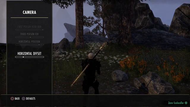 Elder Scrolls Online - PS4/Xbox How to Improve Gameplay смотреть онлайн