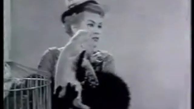 Patti Page - How Much Is That Doggie In The Window смотреть онлайн