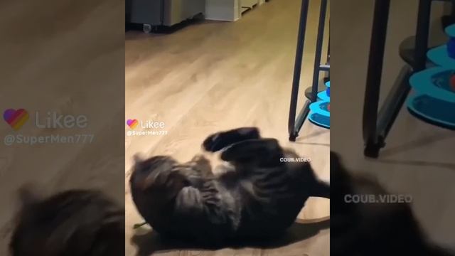 пресс качает???