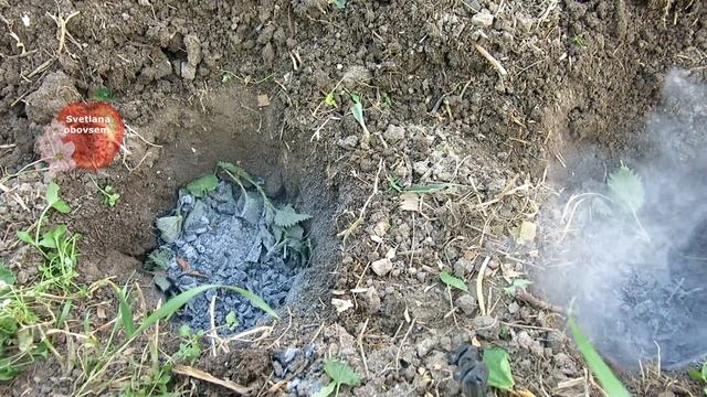 САЖАЮ ОГУРЦЫ ТОЛЬКО ТАК.ПОЛОЖИТЕ ЭТО В ЛУНКУ ПРИ ПОСАДКЕ.БУЙНЫЙ РОСТ И ОГРОМНЫЙ УРОЖАЙ ГАРАНТИРОВАН смотреть онлайн