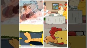 Family guy peter vs chicken(4 scenes side by side)