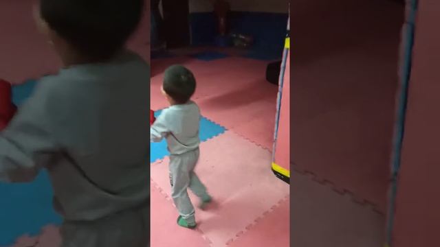 Бокс , боксеры , спорт ,детский бокс смотреть онлайн